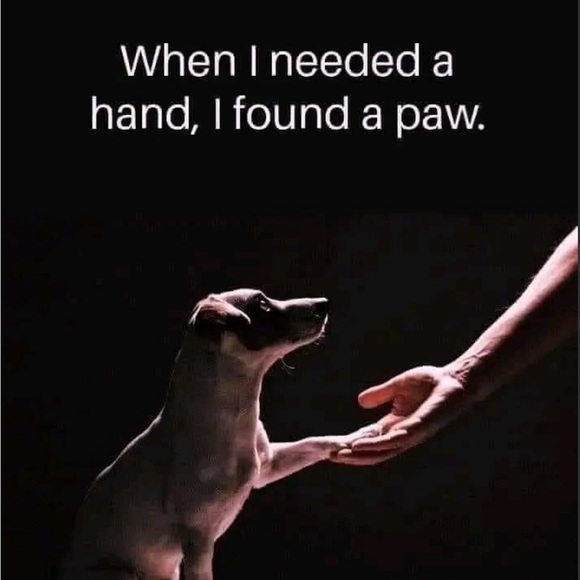 🌴Meet Me🌴 - Picture 5 of 5